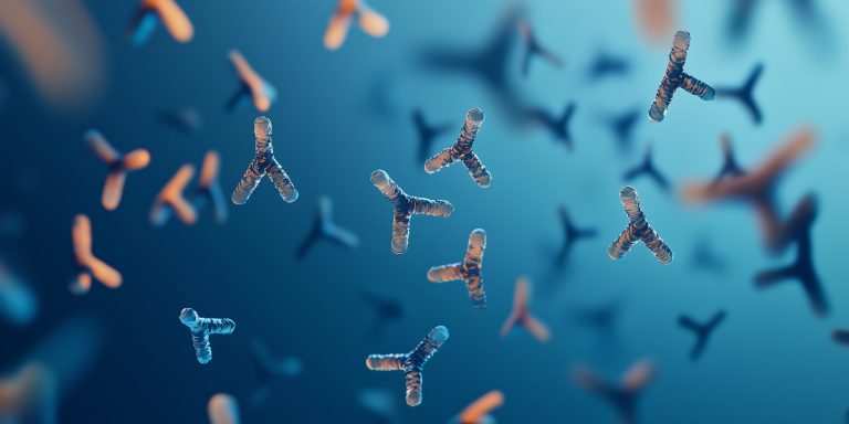 Vivid Digital Representation of Antibody Molecules, Highlighting Y-Shaped Structures, Binding Sites, and Heavy-Light Chain Arrangements Against a Gradient Soft Blue Background