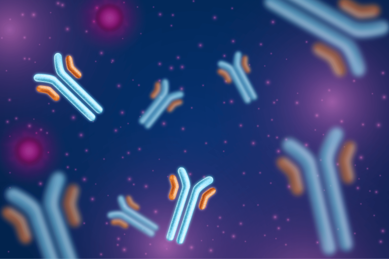 antibody image@300x-8